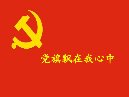 二年级上册少先队活动课【党旗飘在我心中】PPT