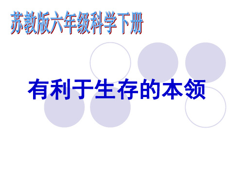 六年级下册科学课件有利于生存的本领 苏教版 (共21页)PPT
