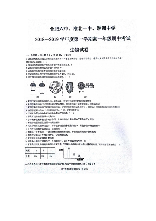 2018-2019学年安徽省合肥六中、淮北一中、滁州中学高一上学期期中联考生物试题  扫描版