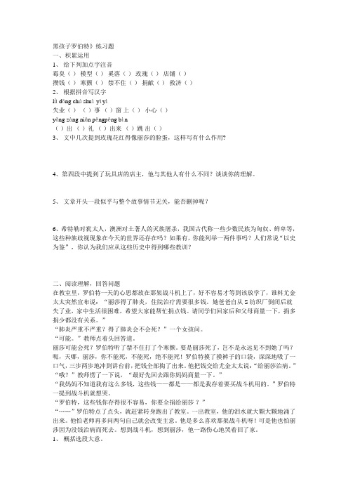 黑孩子罗伯特同步练习及答案