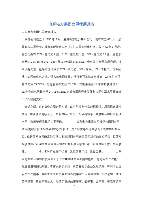 山东电力集团公司考察报告