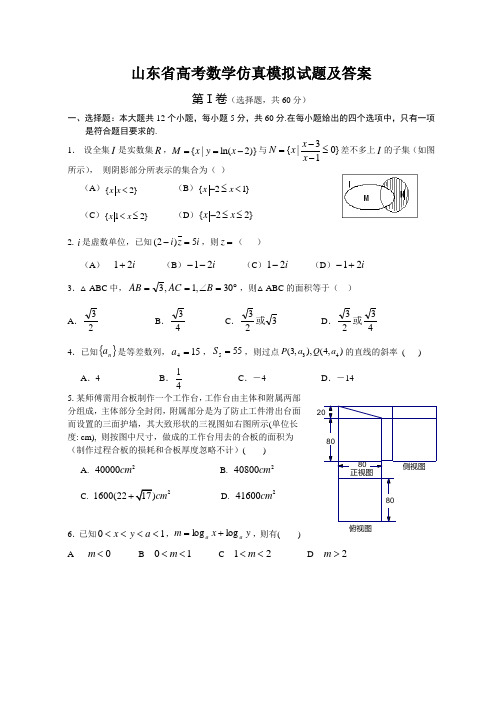 山东省高考数学仿真模拟试题及答案