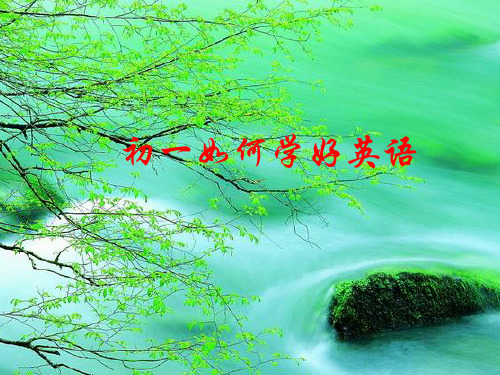初一如何学好英语