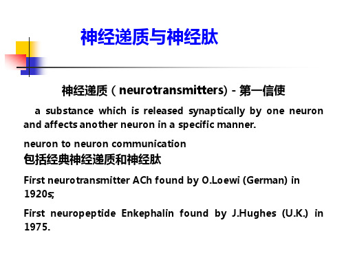 本科生课程—5-经典神经递质-ACh-NE