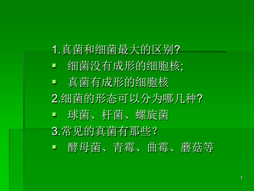 真菌和细菌最大的区别参考幻灯片