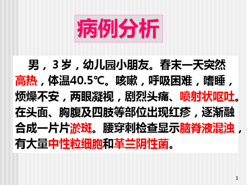 脑膜炎奈瑟菌