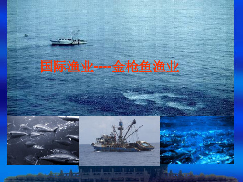 金枪鱼延绳钓