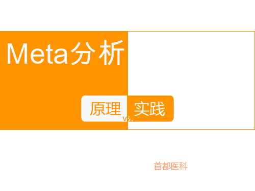 Meta分析原理与实践精品PPT课件