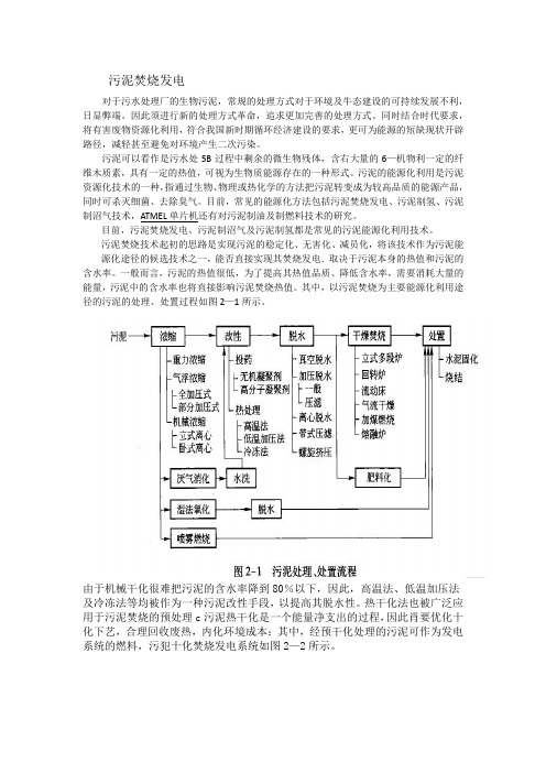 污泥焚烧发电
