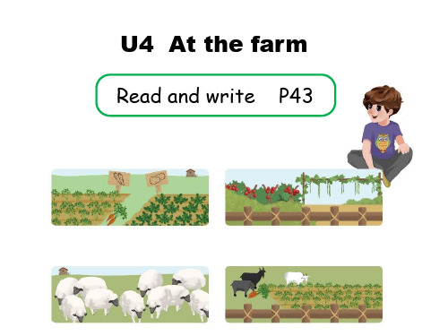 人教版小学英语四年级下册 Unit 4 Read and write优秀公开课课件