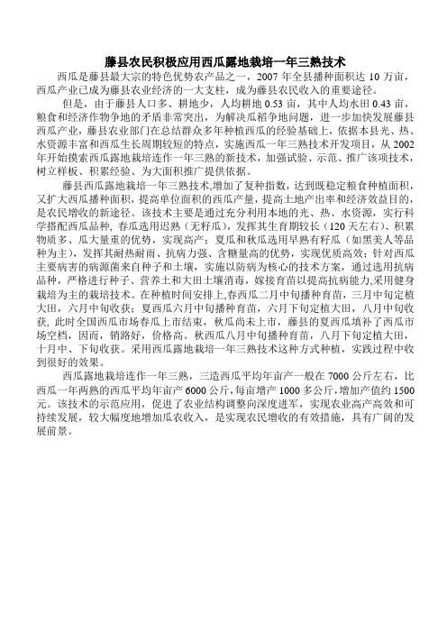 藤县农民积极应用西瓜露地栽培一年三熟技术