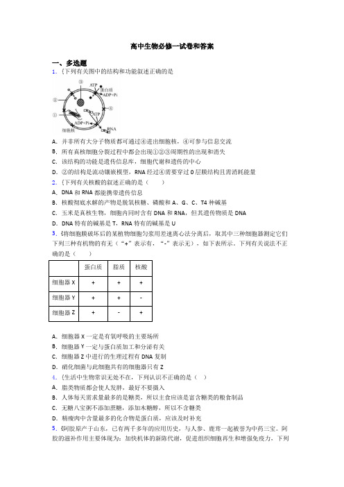 高中生物必修一试卷和答案