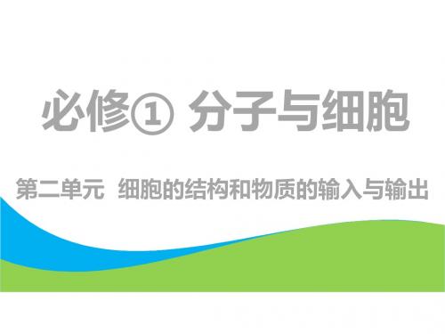 2019版高考生物一轮复习第1部分分子与细胞第二单元细胞的结构和物质的输入与输出第1讲细胞膜(含生物