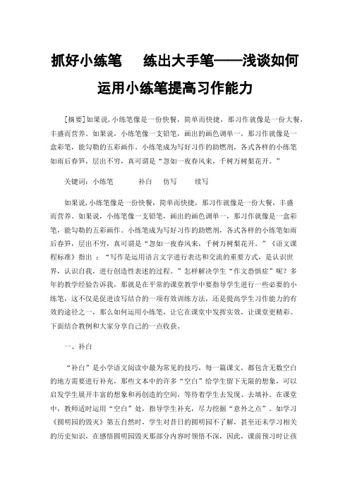 抓好小练笔练出大手笔——浅谈如何运用小练笔提高习作能力