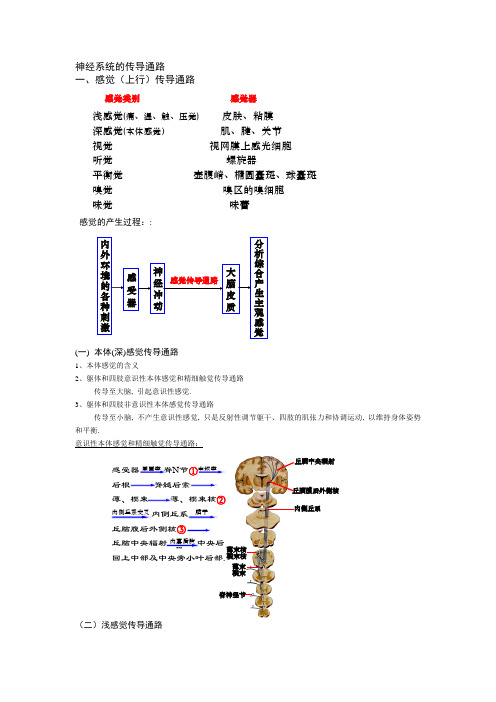 笔记18(导通路)