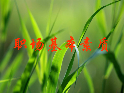 准职业人培训.pptx