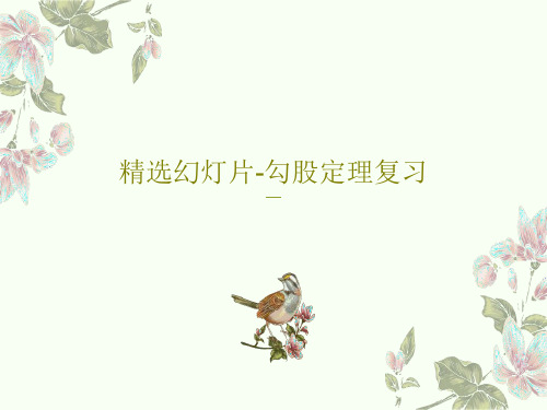 精选幻灯片-勾股定理复习23页PPT