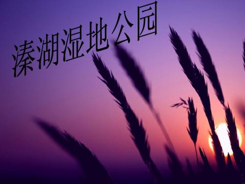 溱湖