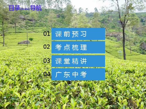 中考数学总复习 第四章 三角形 第16讲(课堂本)课件