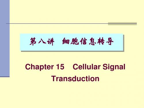 第八讲细胞信息的传递