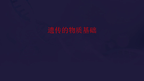 2021届高三生物二轮专题复习《遗传的物质基础2》