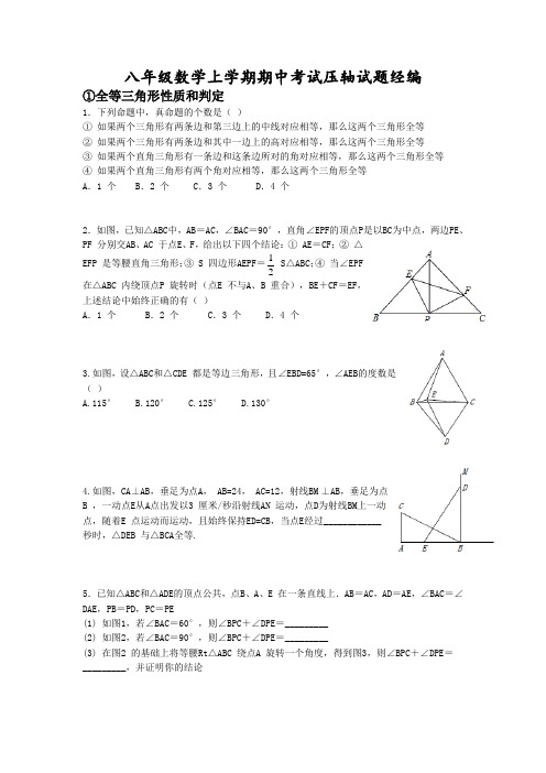 2017年八年级数学上册压轴试题精编