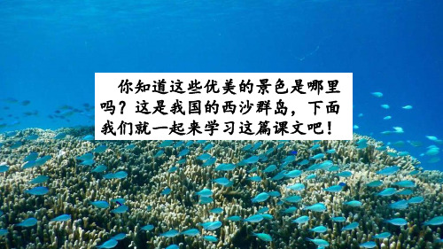 三年级上册语文18 富饶的西沙群岛  教学课件PPT