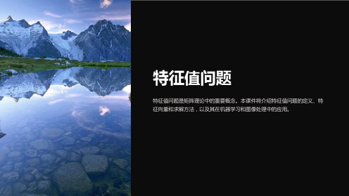 《特征值问题》课件