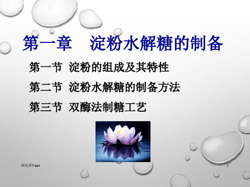 第一章淀粉水解糖的制备ppt课件