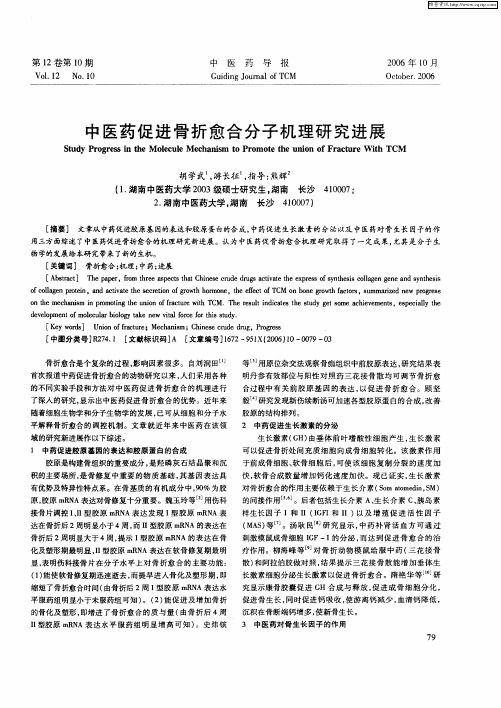 中医药促进骨折愈合分子机理研究进展