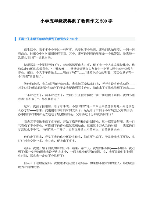 小学五年级我得到了教训作文500字