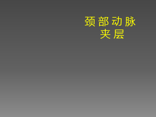 颈部动脉夹层ppt课件