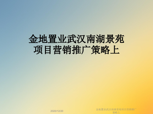 金地置业武汉南湖景苑项目营销推广策略上