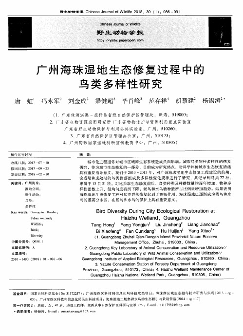广州海珠湿地生态修复过程中的鸟类多样性研究
