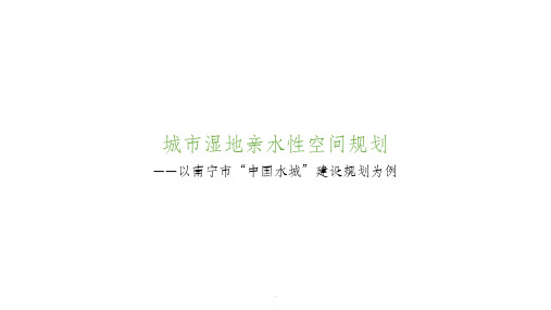 城市湿地亲水性空间规划
