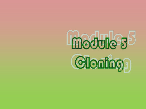 外研版选修6Module5Reading课件