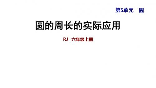 六年级上册数学课件-5.3 圆的周长的实际应用｜人教新课标(2018秋) (共14张PPT)