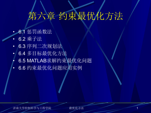 约束最优化