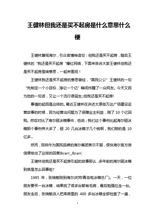 王健林但我还是买不起房是什么意思什么梗