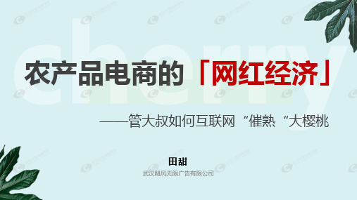 互联网思维卖樱桃——山东农人大叔致富经