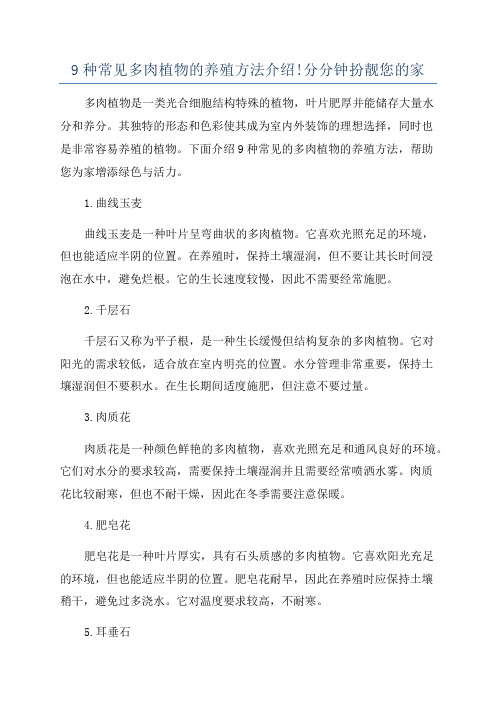 9种常见多肉植物的养殖方法介绍!分分钟扮靓您的家