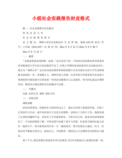 小组社会实践报告封皮格式
