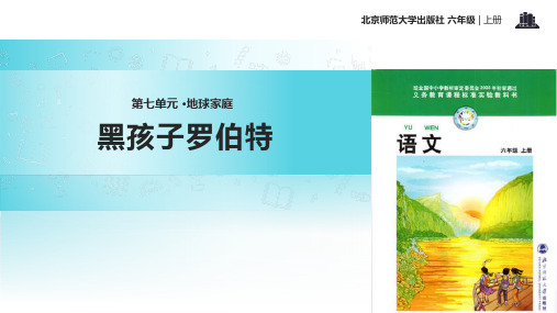 2021小学语文北师大版六年级上册《黑孩子罗伯特》教学课件