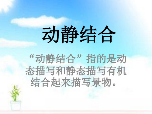 六年级下册语文课件习作 《动静结合》 人教新课标 (共18张ppt)