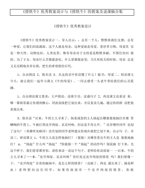 《捞铁牛》优秀教案设计与《捞铁牛》的教案及说课稿合集.doc