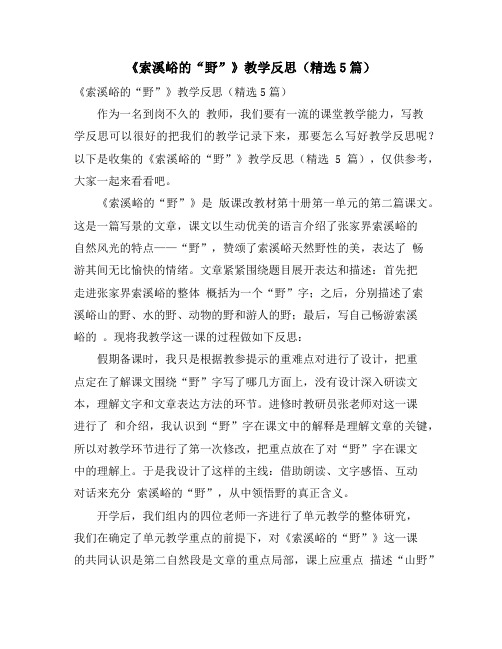 《索溪峪的“野”》教学反思(精选5篇)