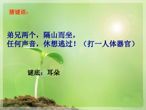 (精选)四年级语文上册习作四学用象声词作文 PPT精品课件1苏教版