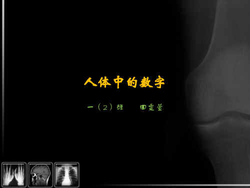 人体中的数字