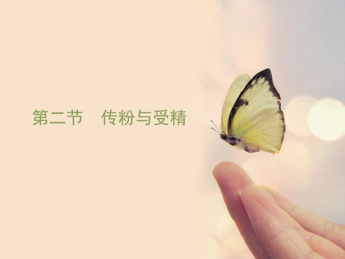 《传粉与受精》课件