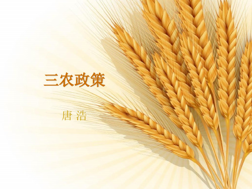 三农政策(2018年)